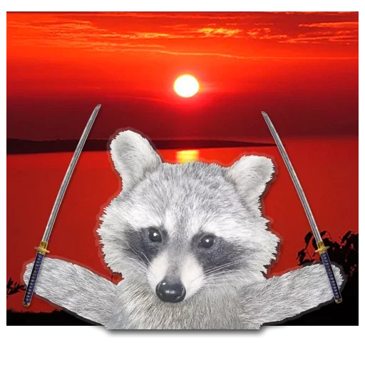 Стикер famous racoon