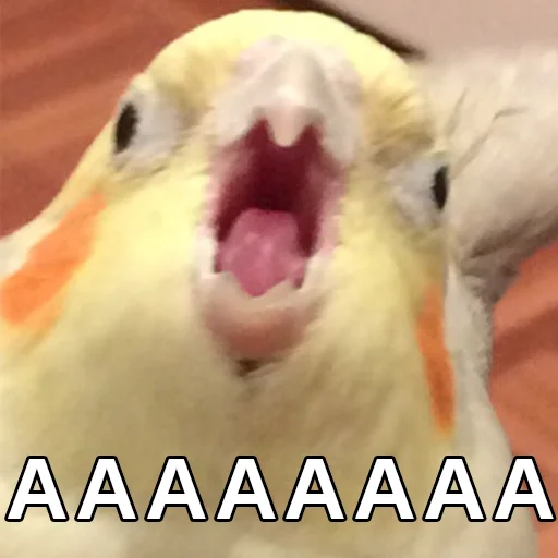 Стикер Файні звірятка