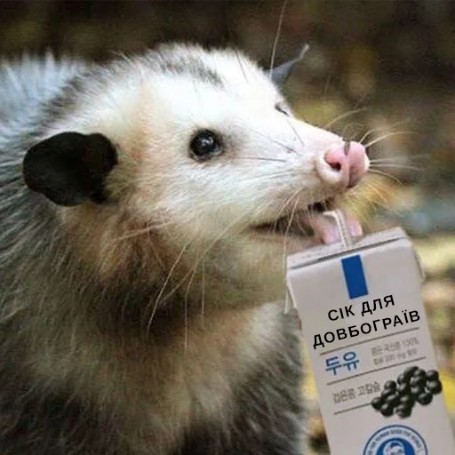 Стикер Файні звірятка