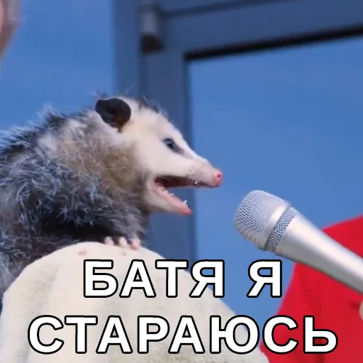 Стикер Файні звірятка