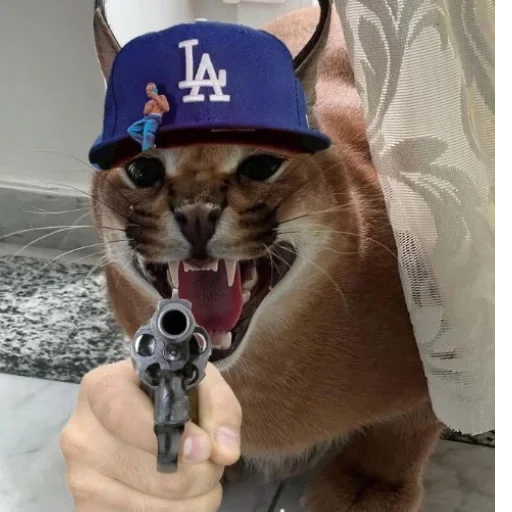 Стикер Floppa / Шлёпа