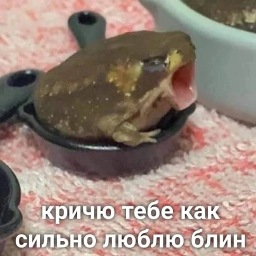 Стикер пушистые мемы