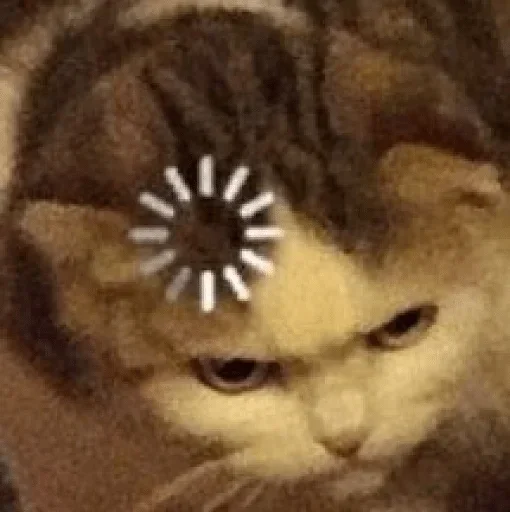 Стикер На все случаи жизне