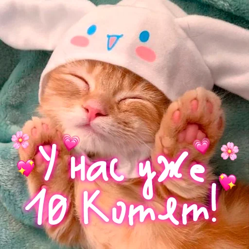 Стикер My kitties