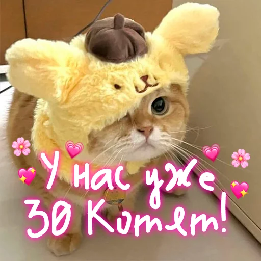 Стикер My kitties