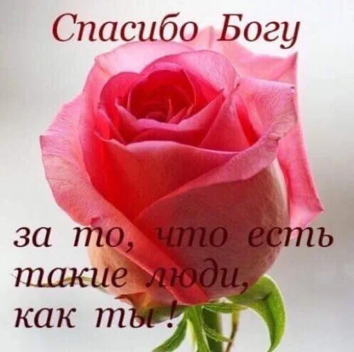 Стикер для вас мои хорошие