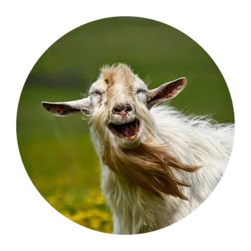 Стикер Funny Goat