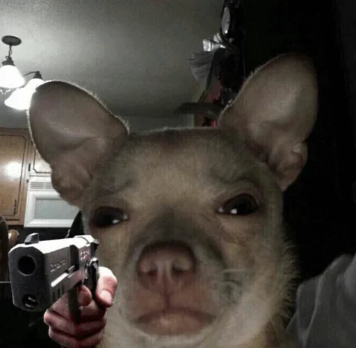 Стикер Funny Dogs