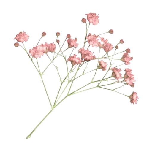 Стикер aesthetic