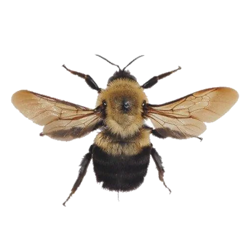 Стикер aesthetic