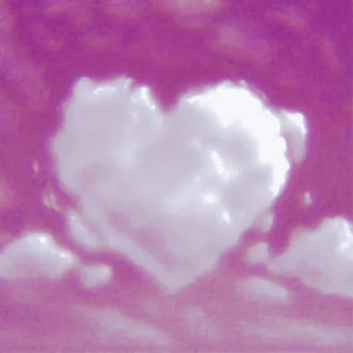 Стикер pardofelis