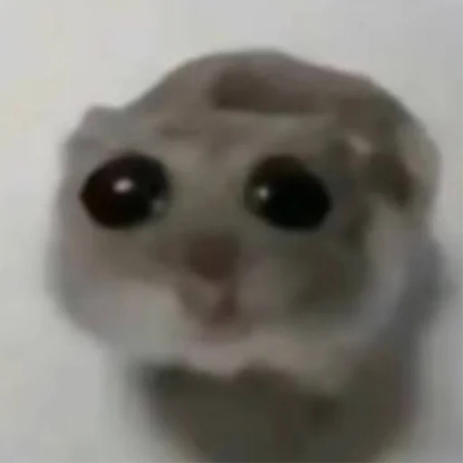 🥺