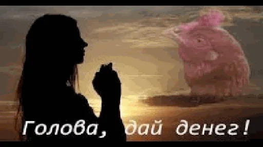 Стикер Голова, дай денег!