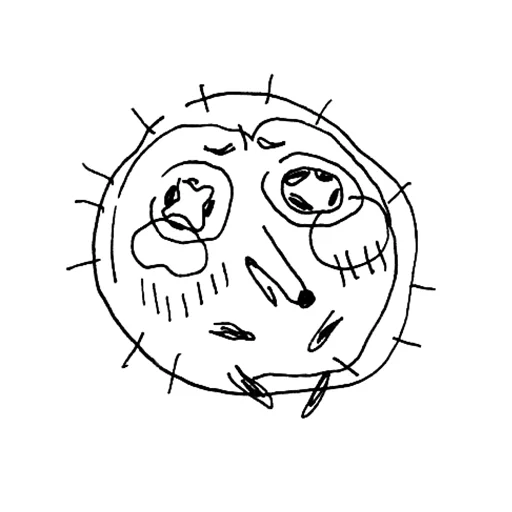 Стикер дурацкие ежи