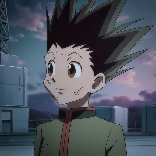 Стикер Hunter Hunter