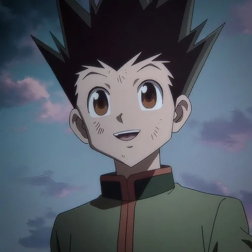 Стикер Hunter Hunter