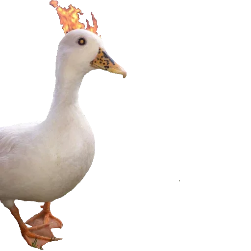 Стикер Goosebumps