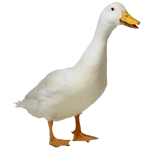 Стикер Goosebumps