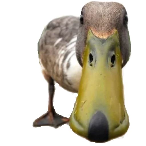 Стикер Goosebumps