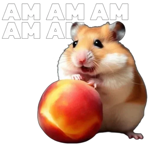 Стикер хомяки