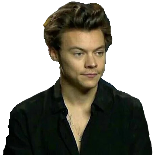 Стикер Harry Styles