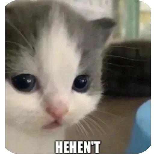 Стикер хехе