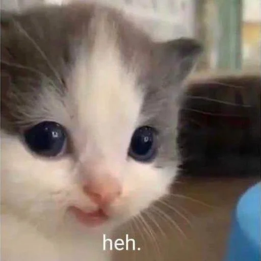 Стикер хехе