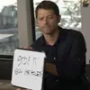 Стикер Team Free Will