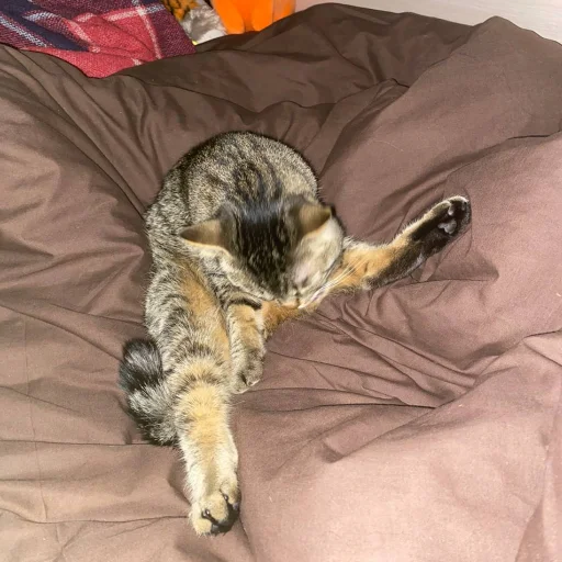 Стикер holy shit