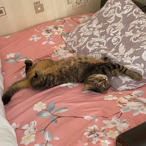 Стикер holy shit