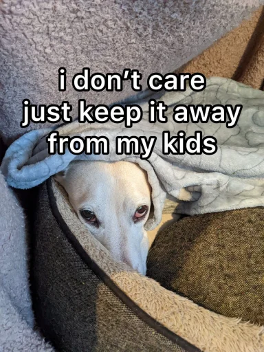 Стикер homophobic dog