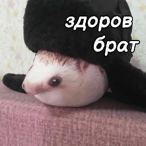 👋
