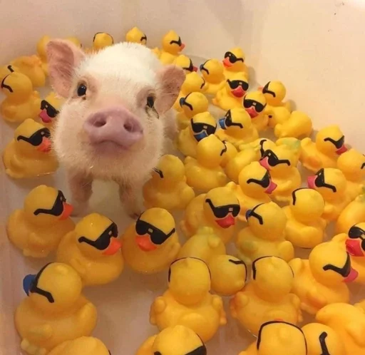 Стикер Хрюкни