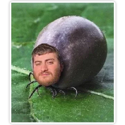 Стикер ИБустчане