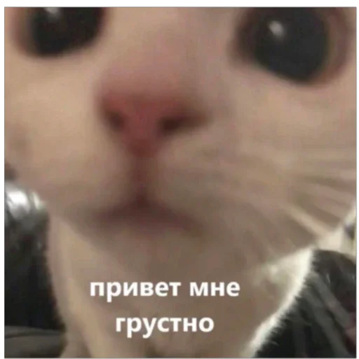Стикер I found some memes