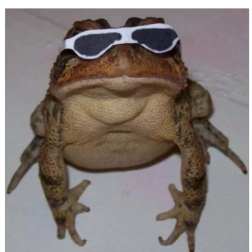 Стикер I found some memes