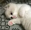 😊