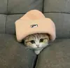 Стикер sweet pussy