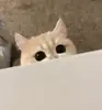 Стикер sweet pussy