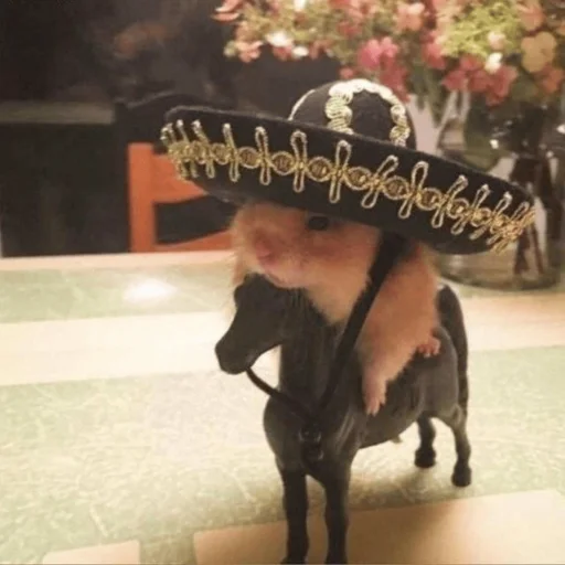 Стикер Котики