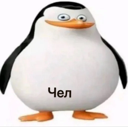 Стикер Чел ты