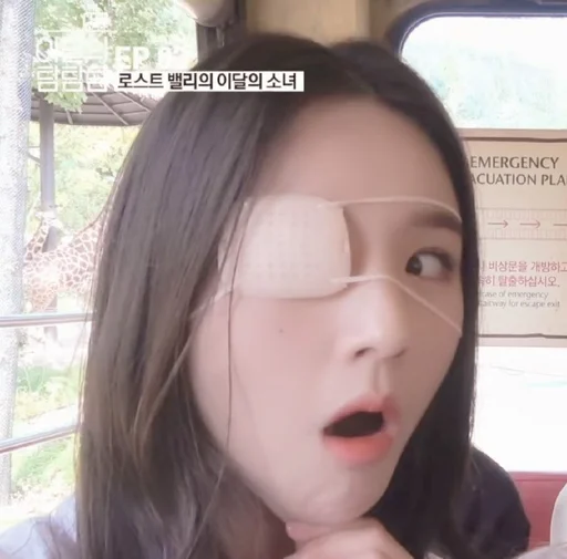 Стикер Чон Хиджин