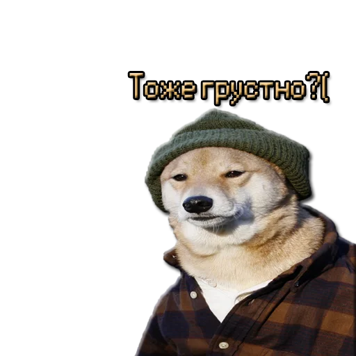 Стикер ЖМЫХИ