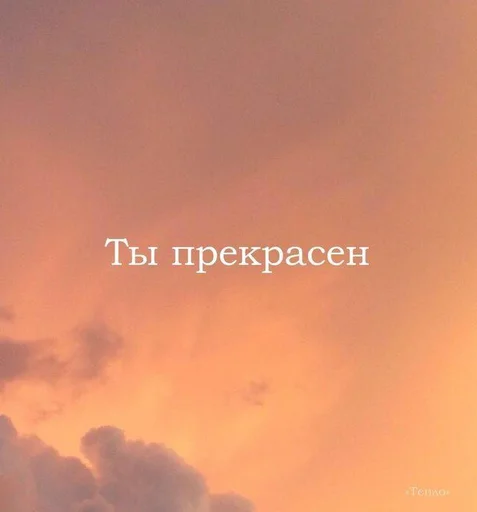 Стикер kami🌸