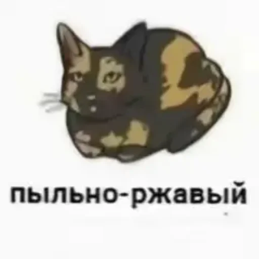 Стикер котики