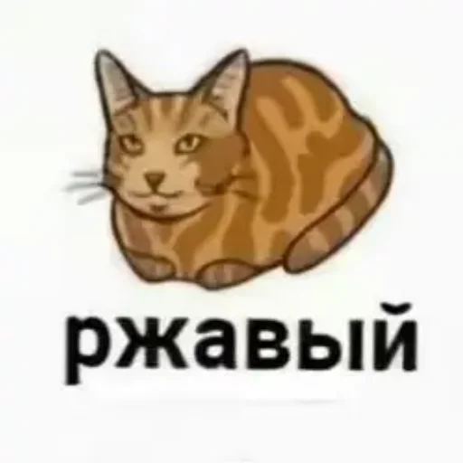 Стикер котики