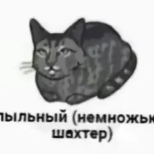 Стикер котики