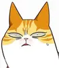 🐈