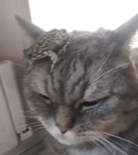 Стикер раздал стиля