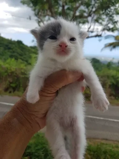 Стикер раздал стиля